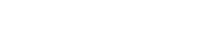 inadigital white logo (1)